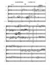 Little suite for string. Mov.III – Score