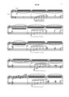 14 Этюдов для фортепиано, No.10 (трели)
